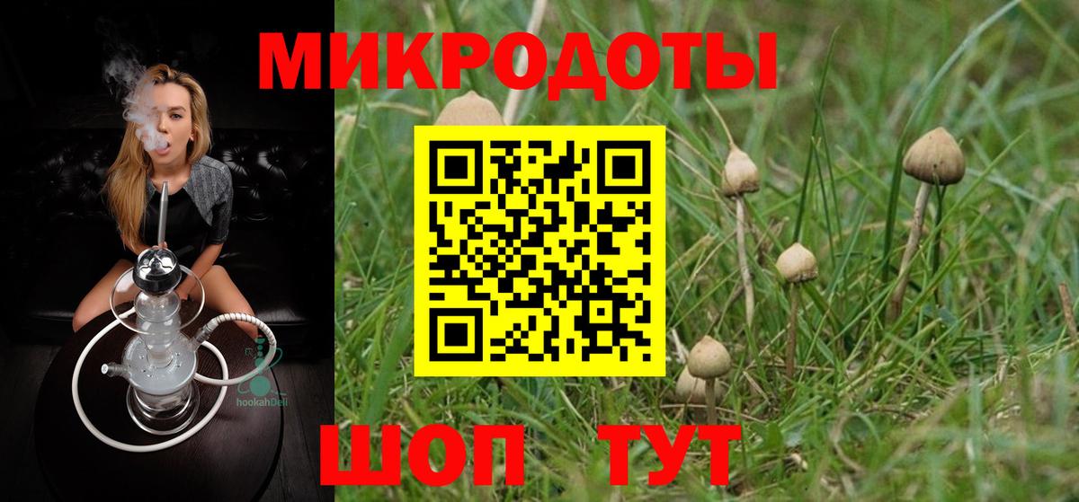 Биробиджан  Псилоцибиновые грибы мицелий  Вход с VPN 